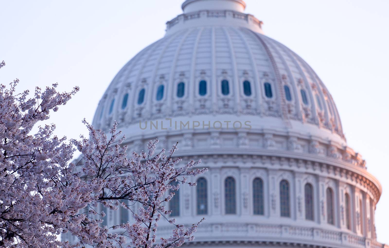 Sunrise behind the dome of the Capitol in DC by steheap