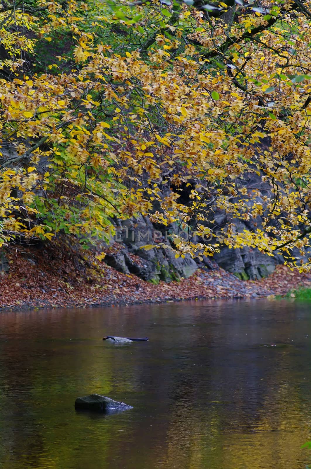 A steam in a forest, with a colorful reflection