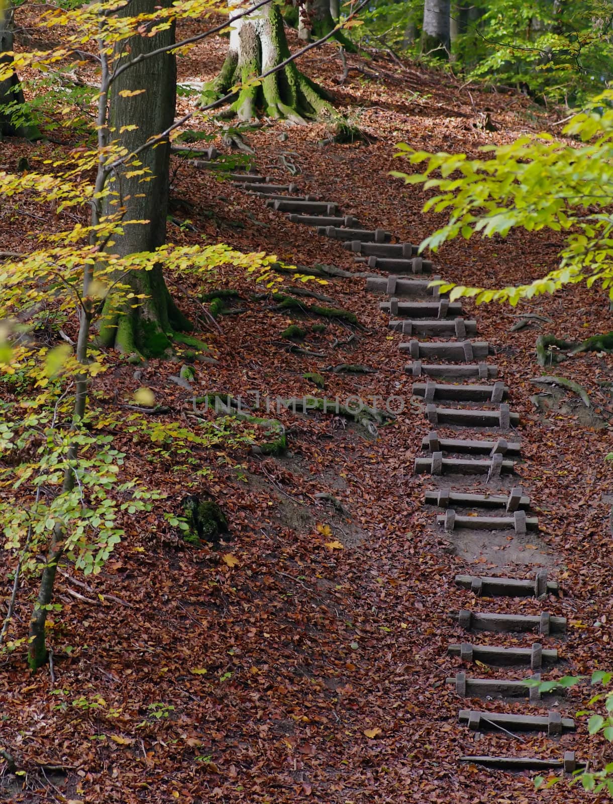 Stairways to........ by baggiovara