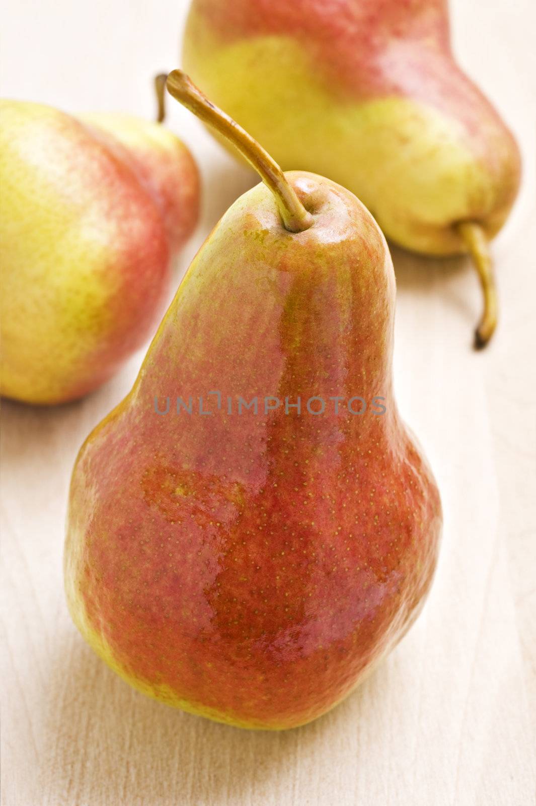 Ripe pear in autumn colors - close up