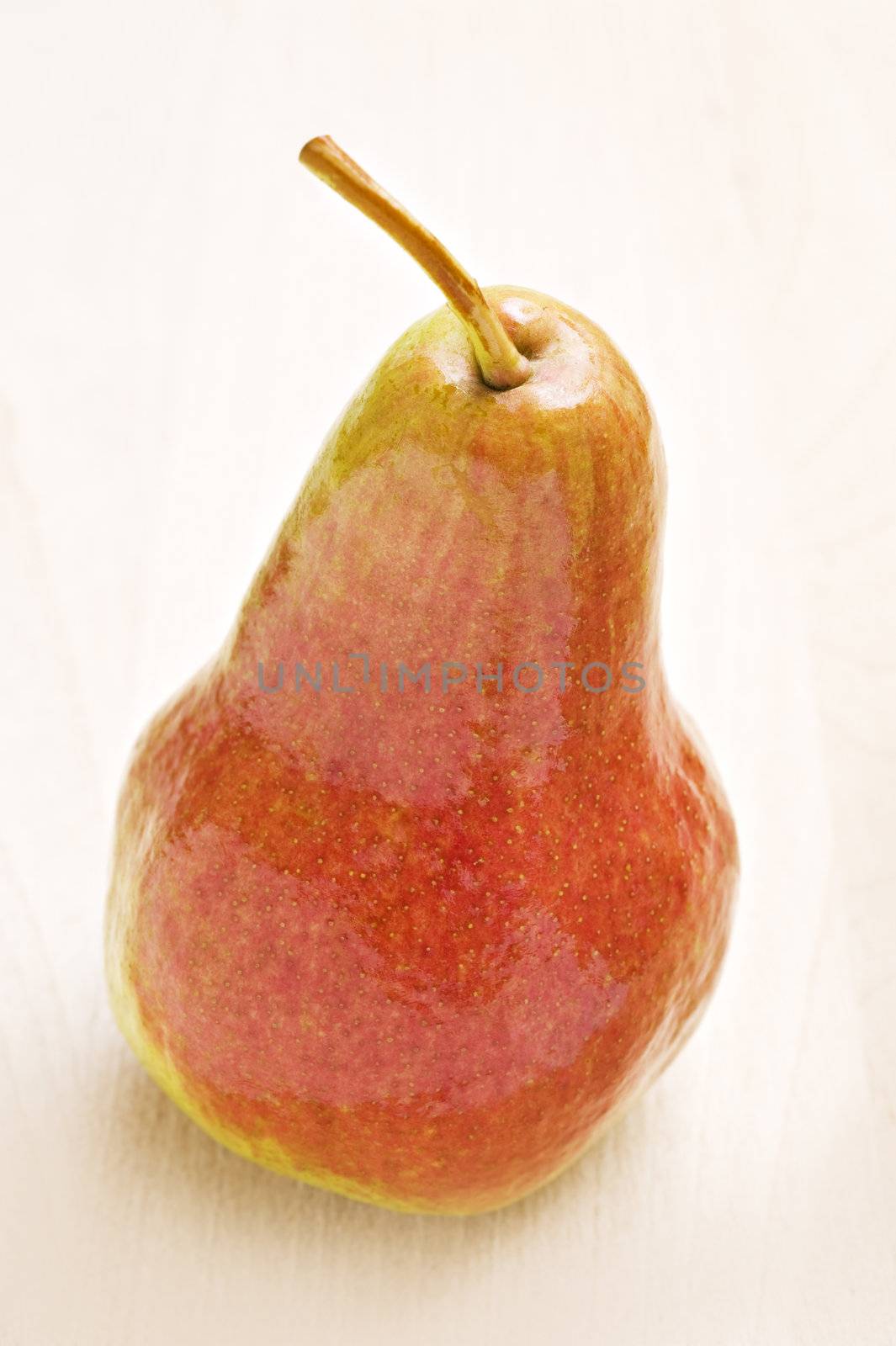 Ripe pear in autumn colors - close up