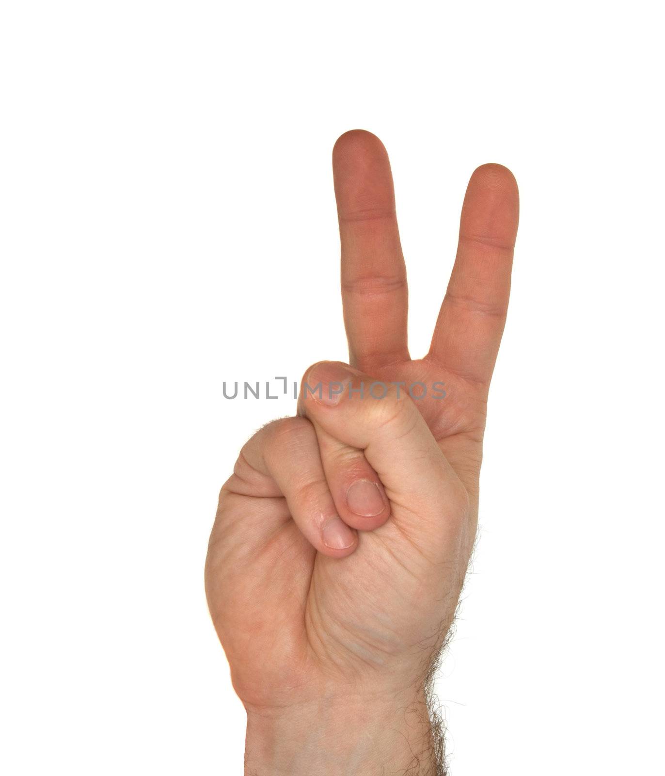  How to sign the letter V using American Sign Language