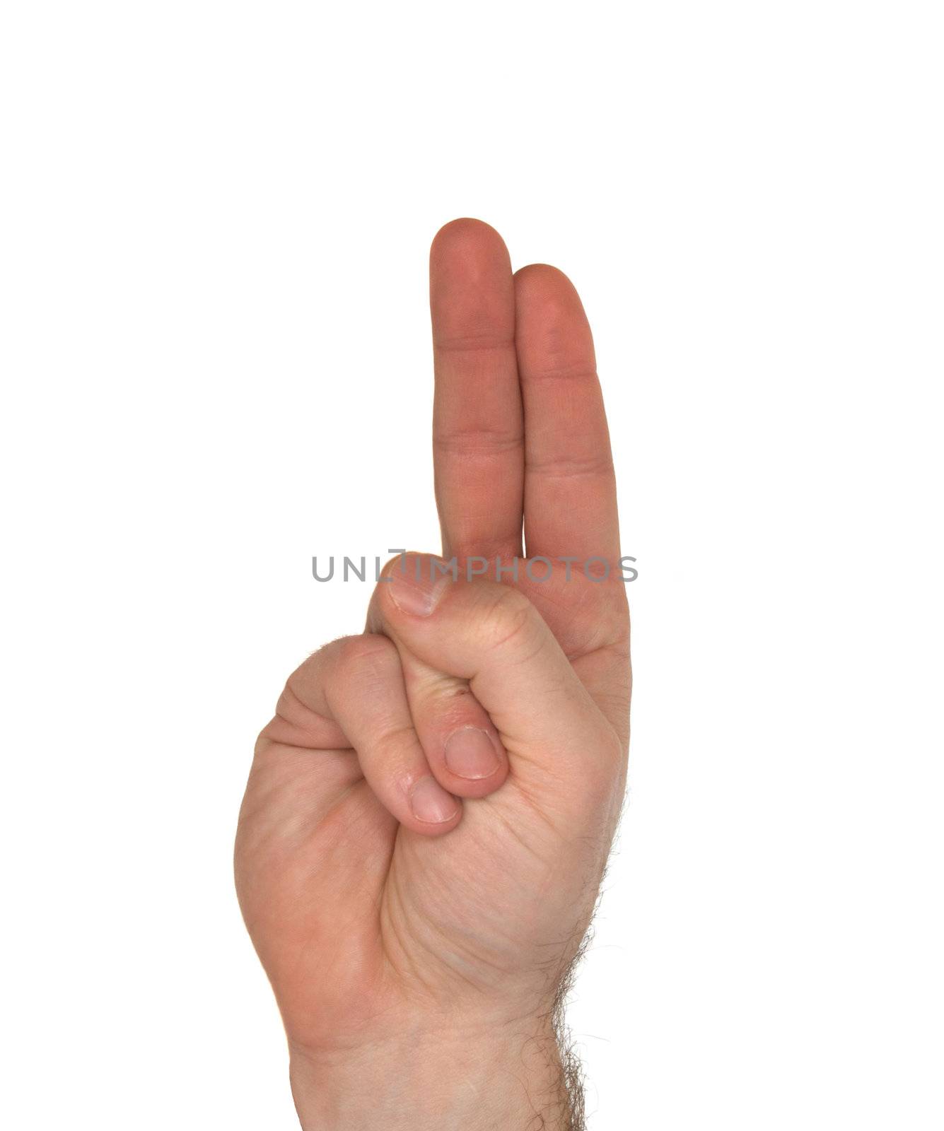 How to sign the letter U using American Sign Language
