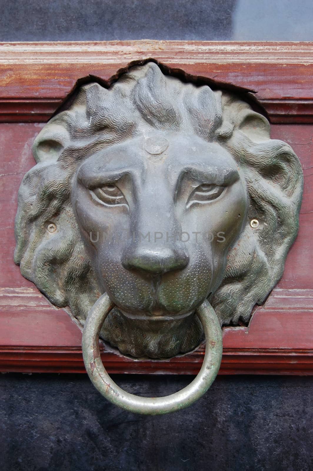 Door Knocker