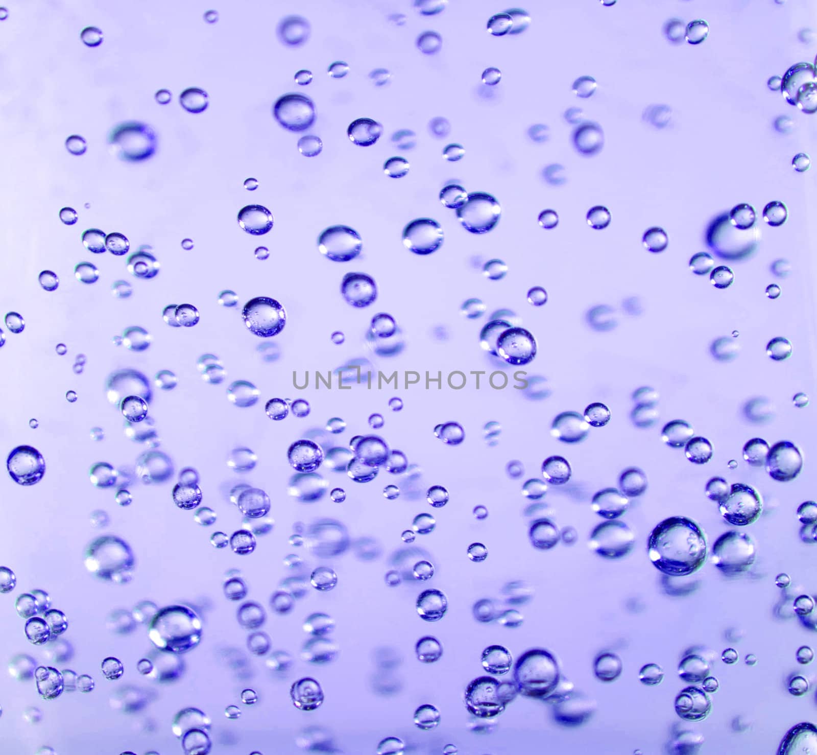 Bubbles suspended in a very vibrant purple gel