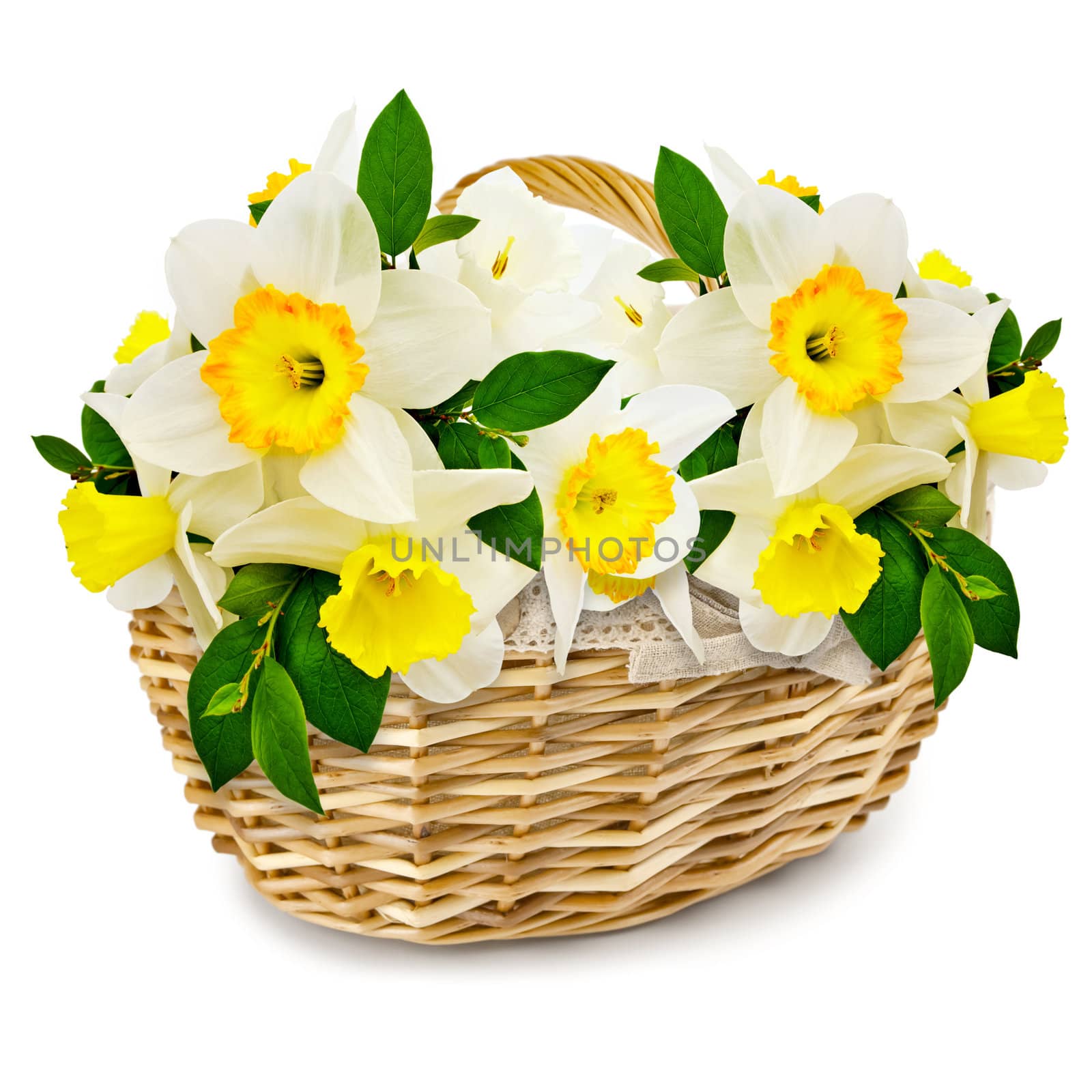 handmade wicker basket with narcissus over white