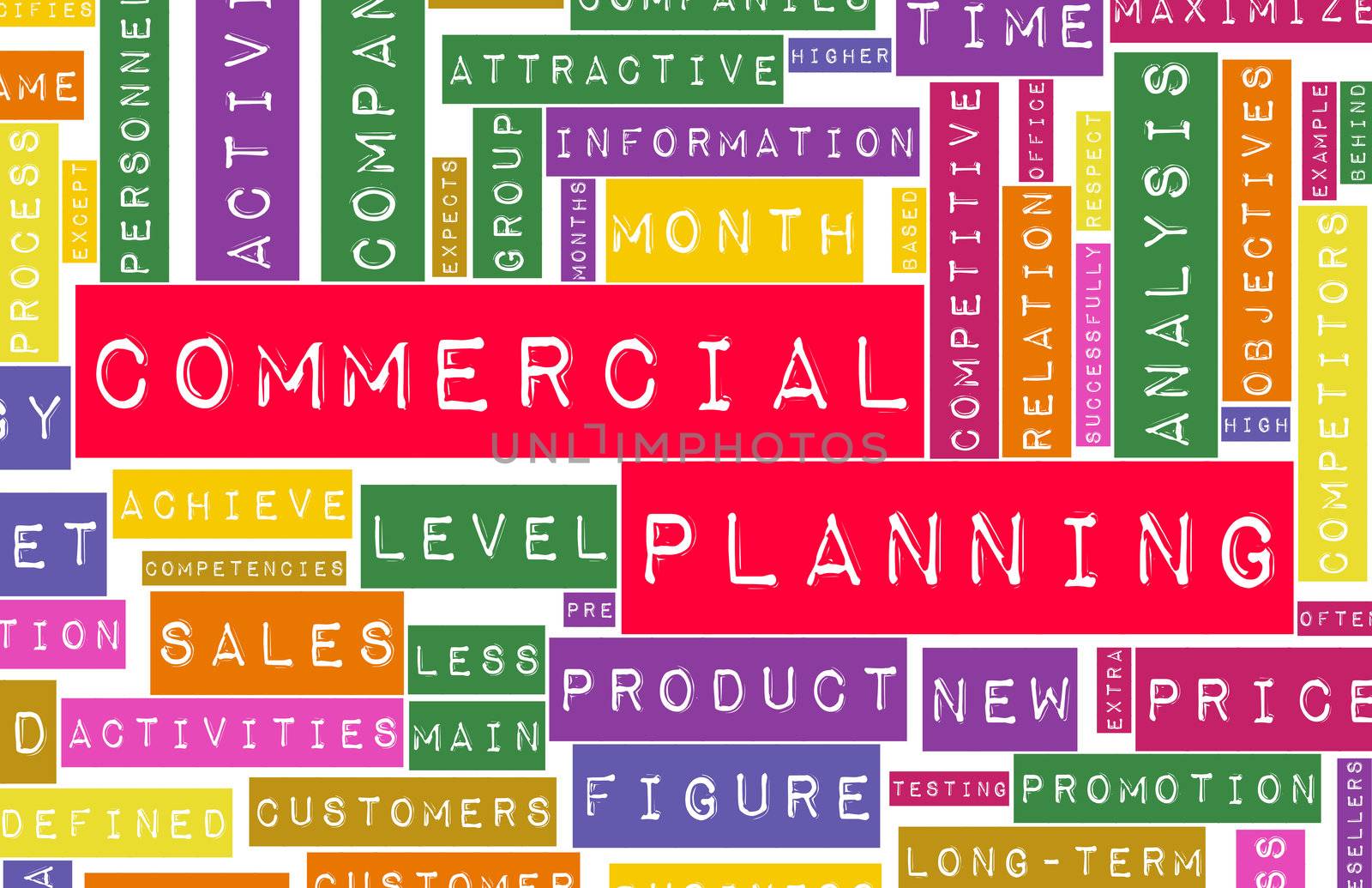 Commercial Planning in a Business Company Concept