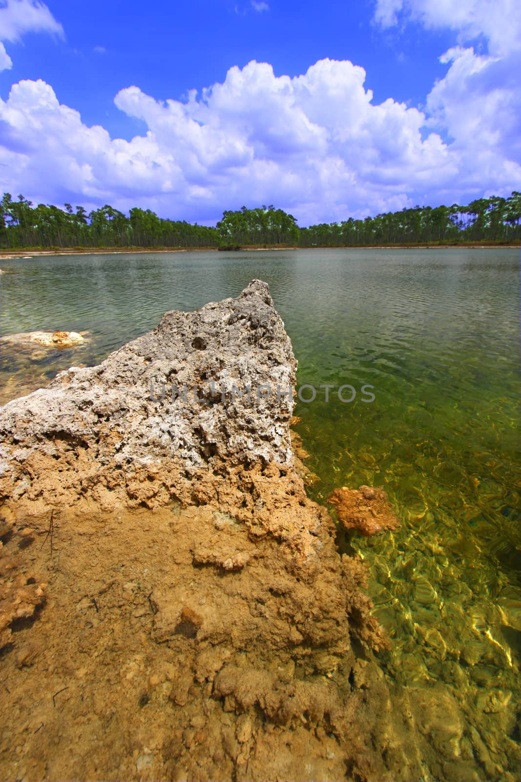 Scenic view of a lake in the Everglades National Park - USA.