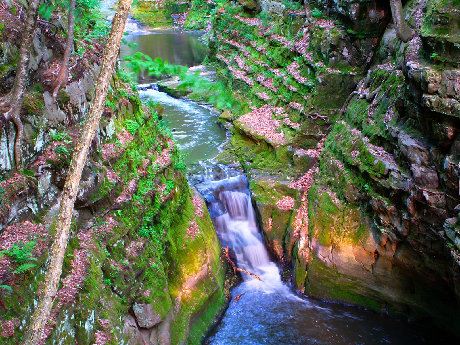 A waterfall running through Pewits Nest State Natural Area near the Wisconsin Dells.