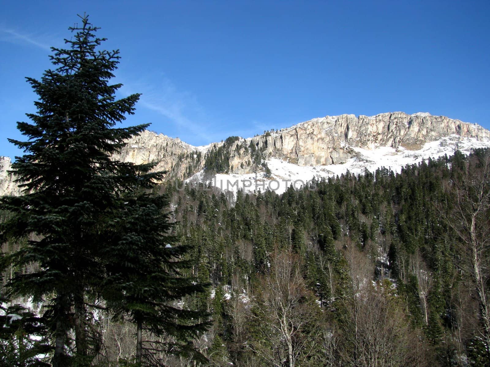 The main Caucasian ridge; rocks; a relief; a landscape; a hill; a panorama