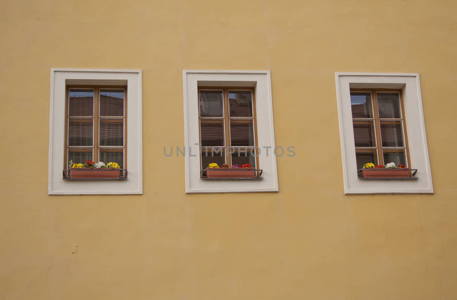 view of the windows and doors, historic buildings, gates.