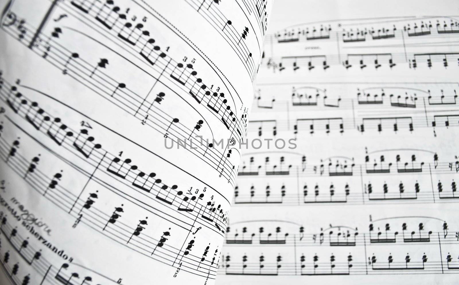 White musical score by rigamondis