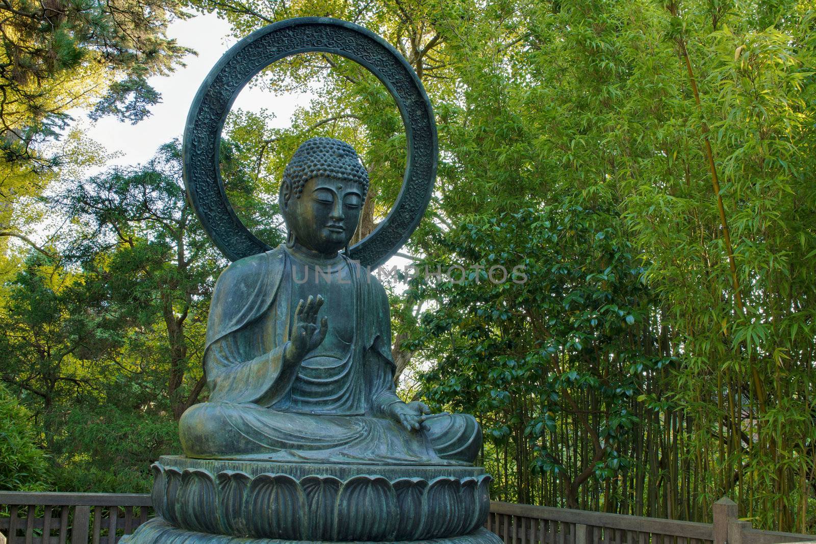 Seated Bronze Buddha on Lotus at San Francisco Japanese Garden