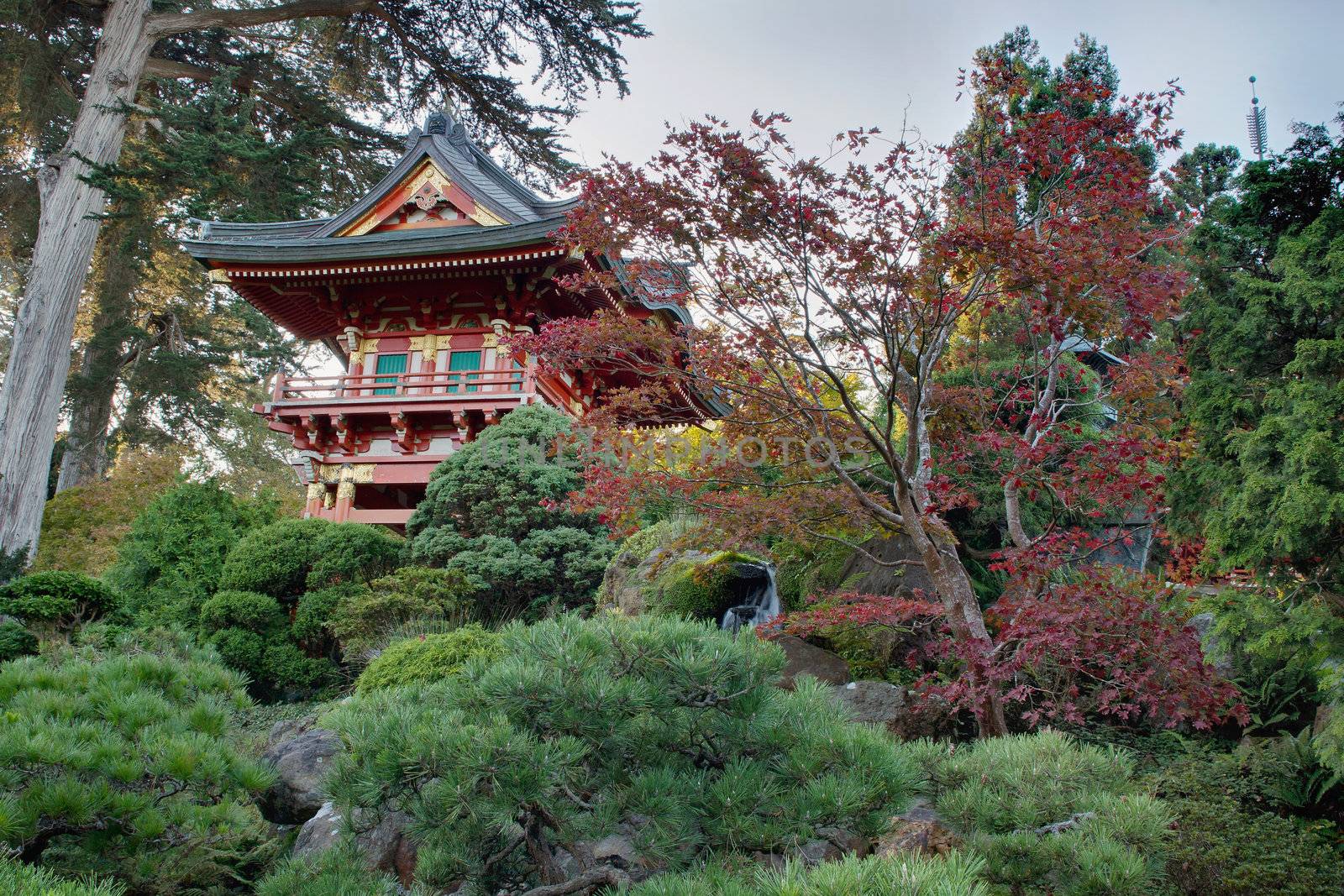 Colorful Pagoda at Japanese Garden in San Francisco Golden Gate Park