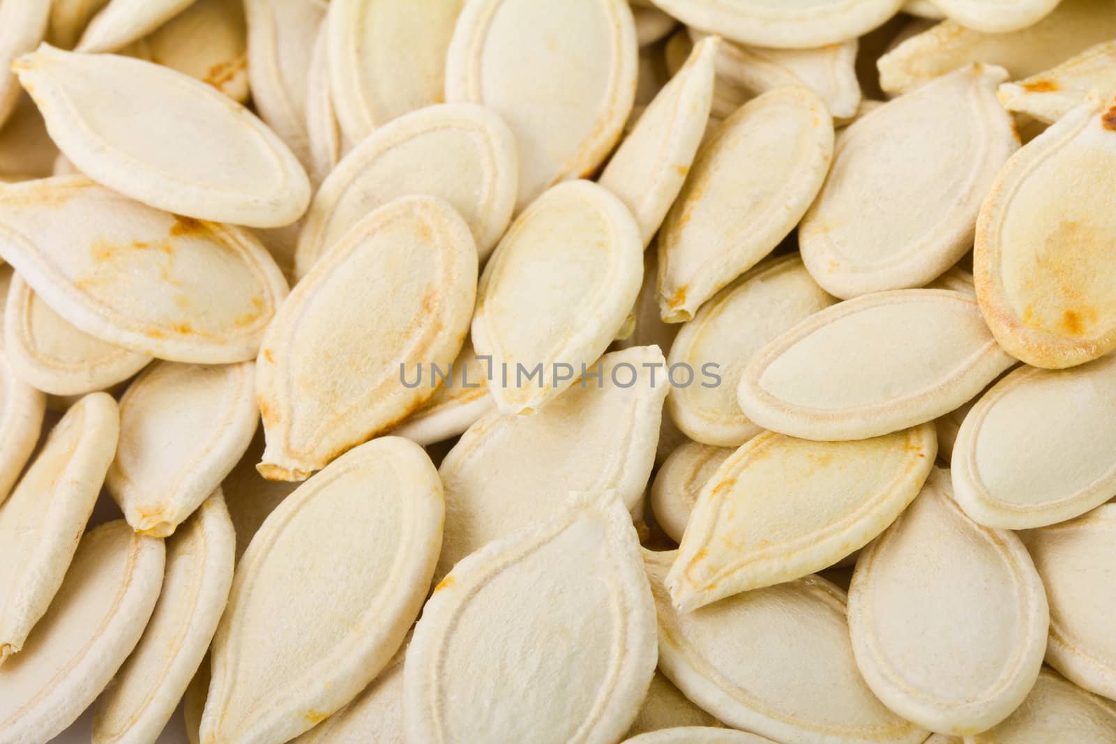 close-up dry seeds of pumpkin