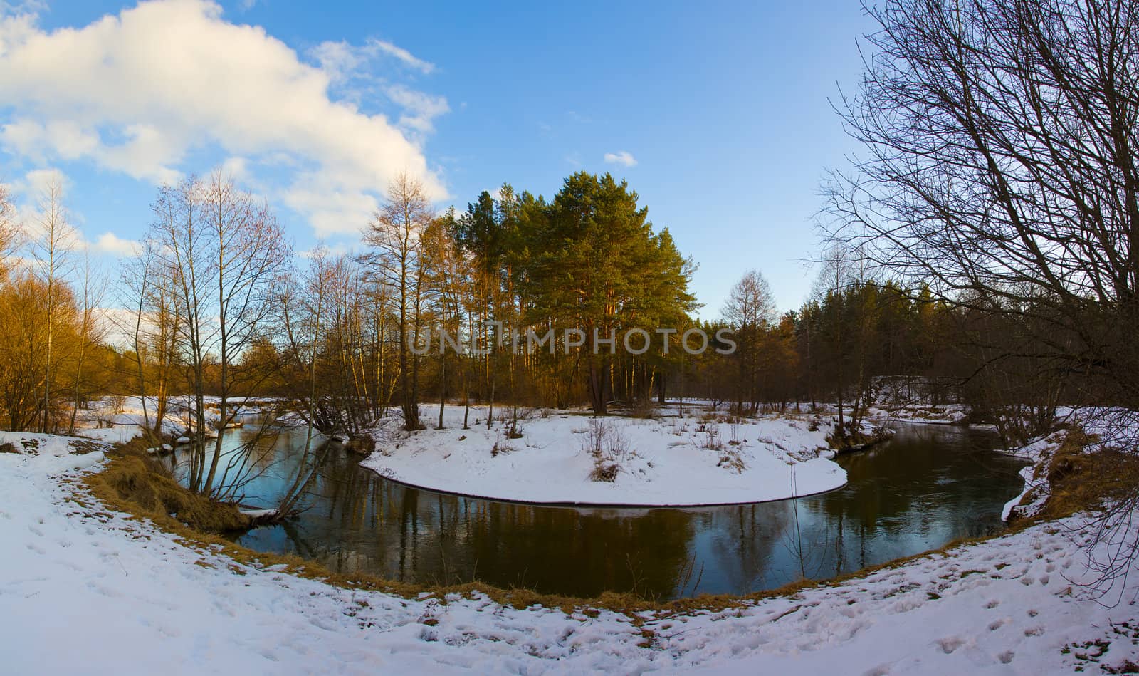river flowing through forest in winter, panorama