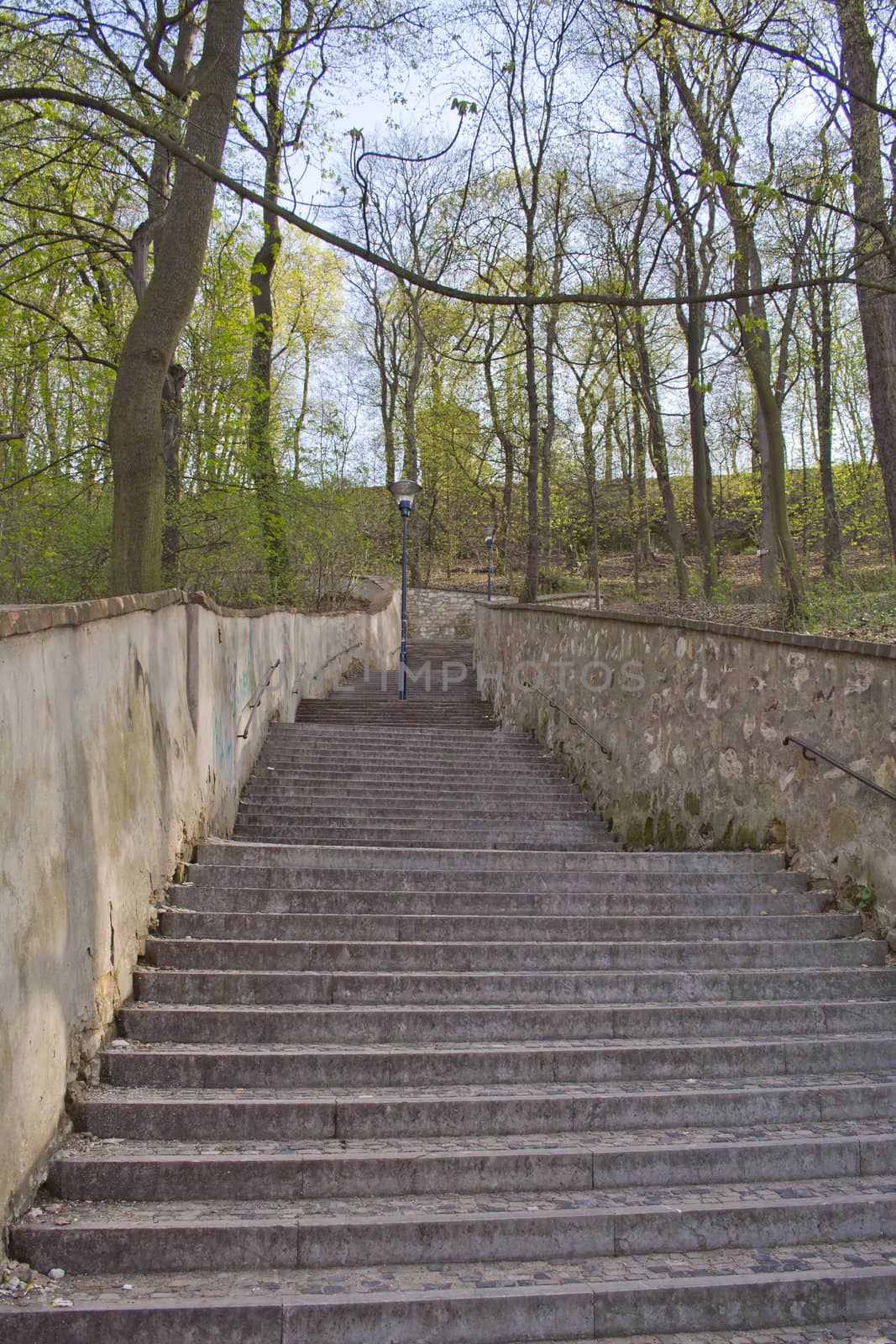 step ladder to climb, to rise up or go down.