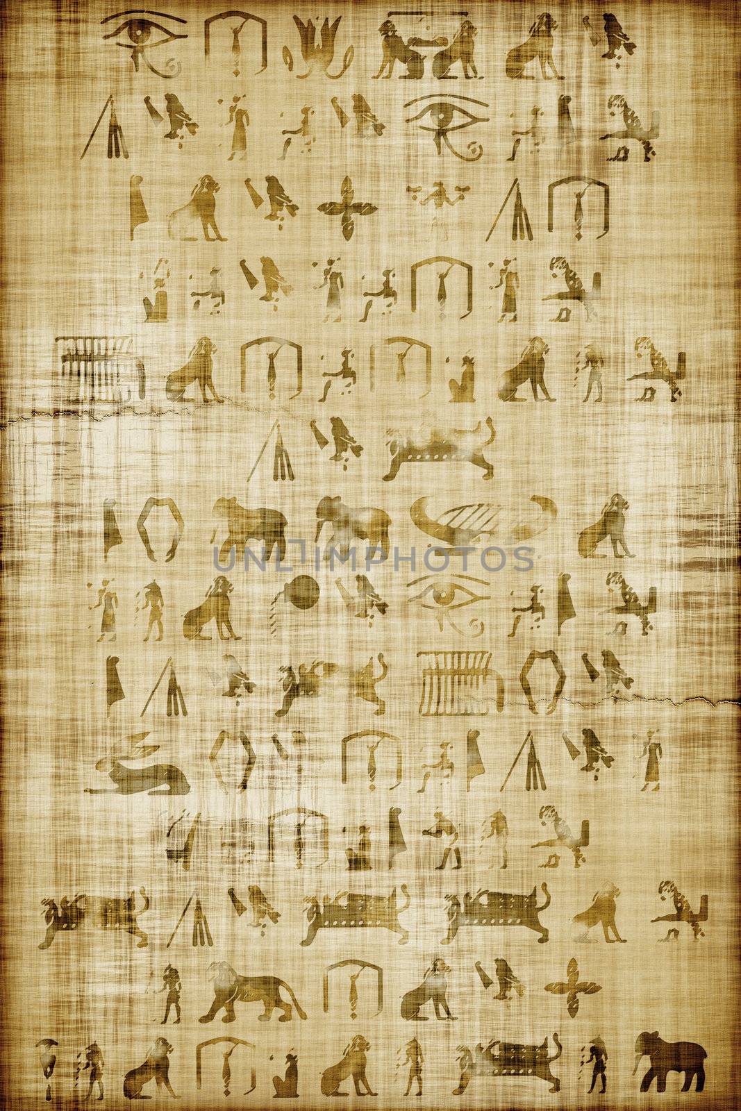 An image of an Egypt papyrus background
