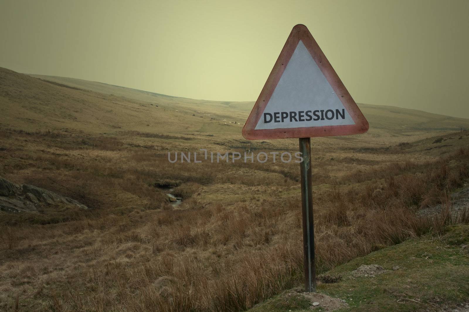 A single British road sign with the word 'depression' against a bleak moorland landscape