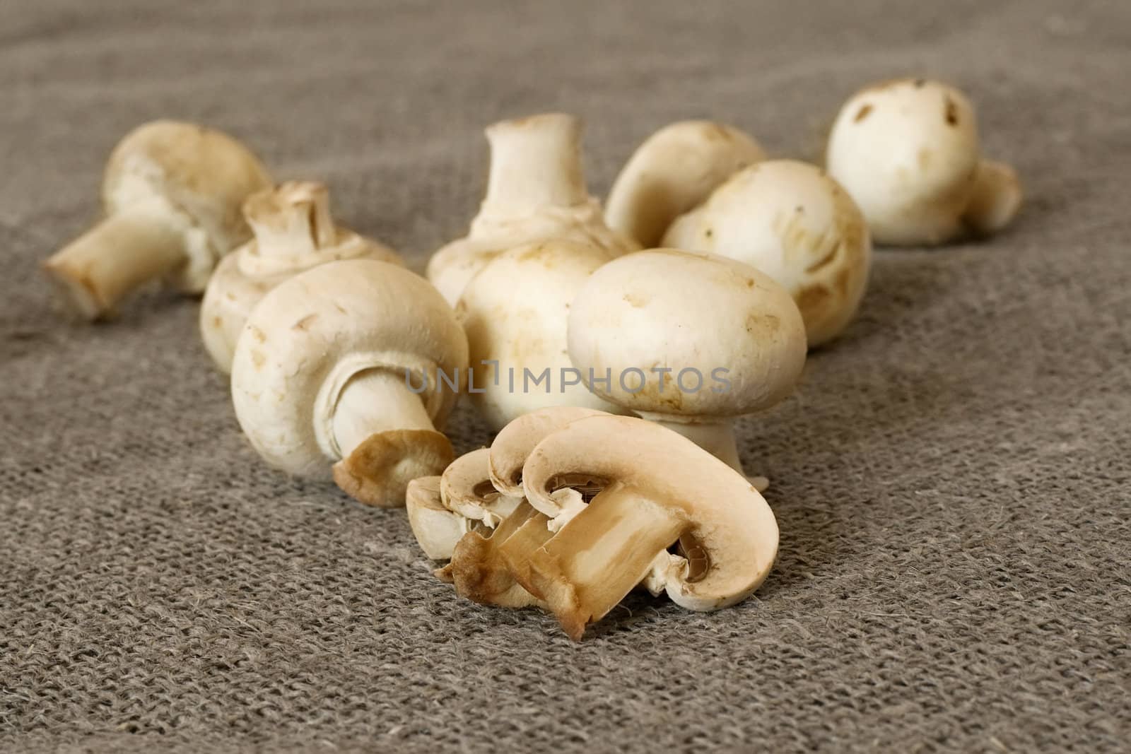 table mushrooms, sliced, close-up, shot on textile background