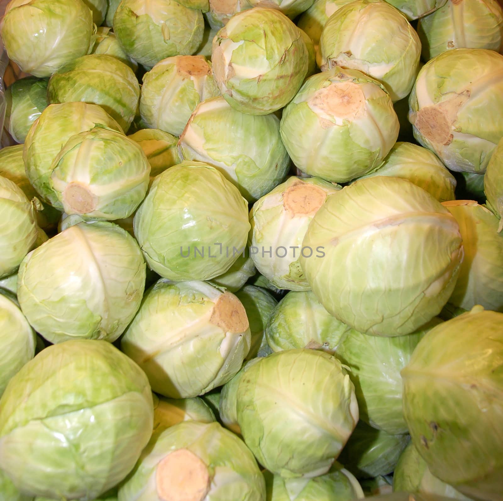 A bunch of cabbage