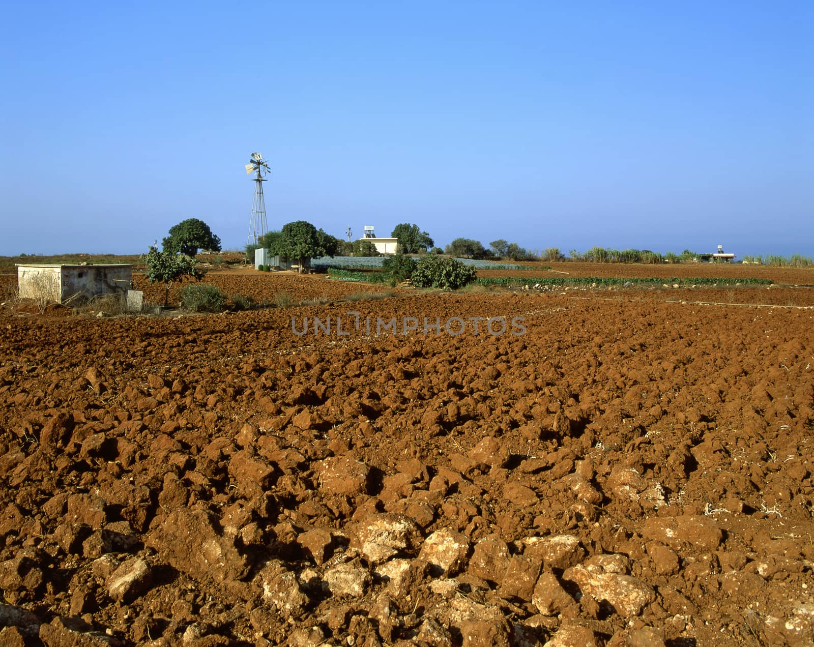 Irrigation and agriculture in southern Cyprus near Paralimni