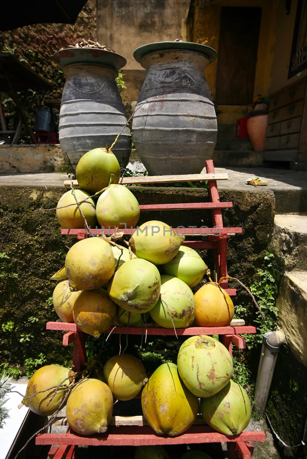 Cocoes on a counter. Bali. Indonesia