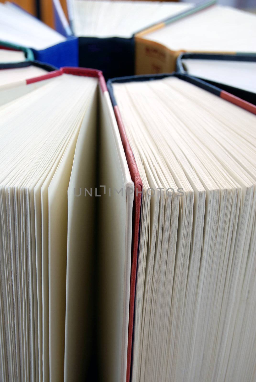 Vertical image of a group of books standing upright with their pages facing outward and their spines forming a circle in the center.