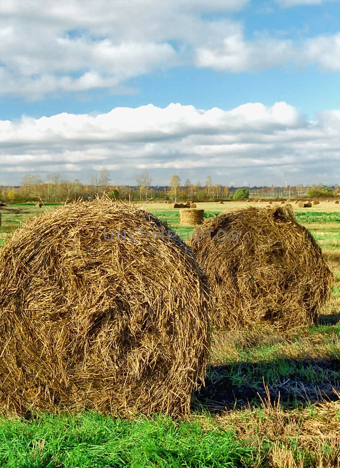 Two rolls of hay on the foreground