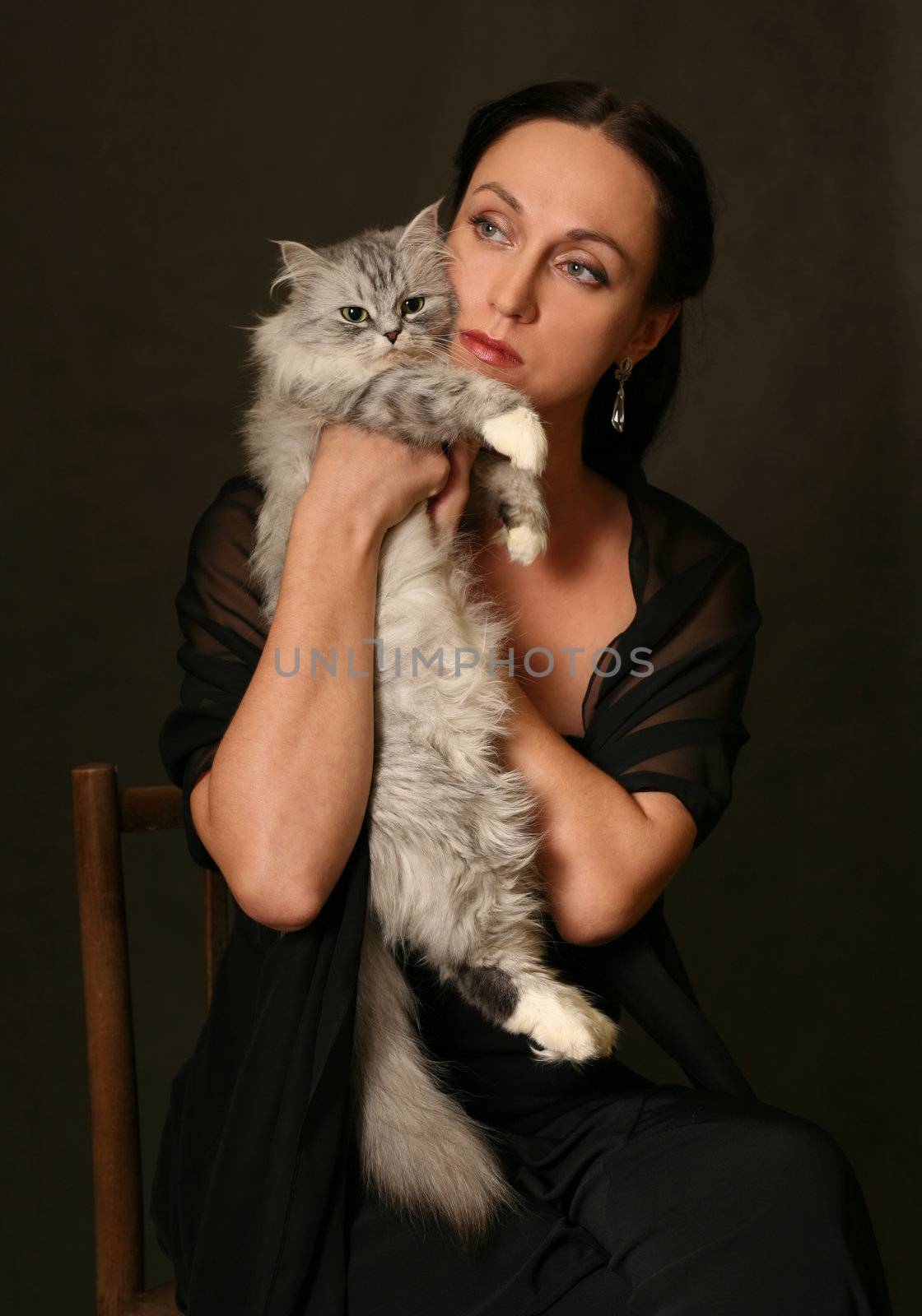 Beautiful woman with silver cat in studio