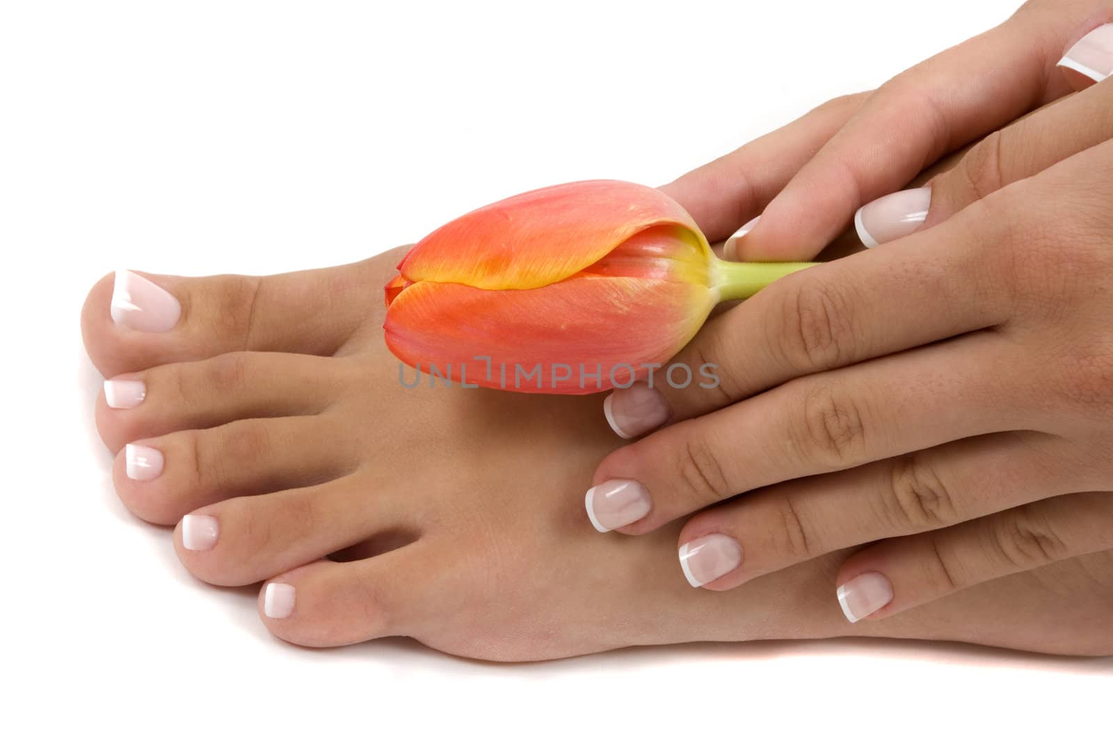 Pedicure and Manicure by BVDC