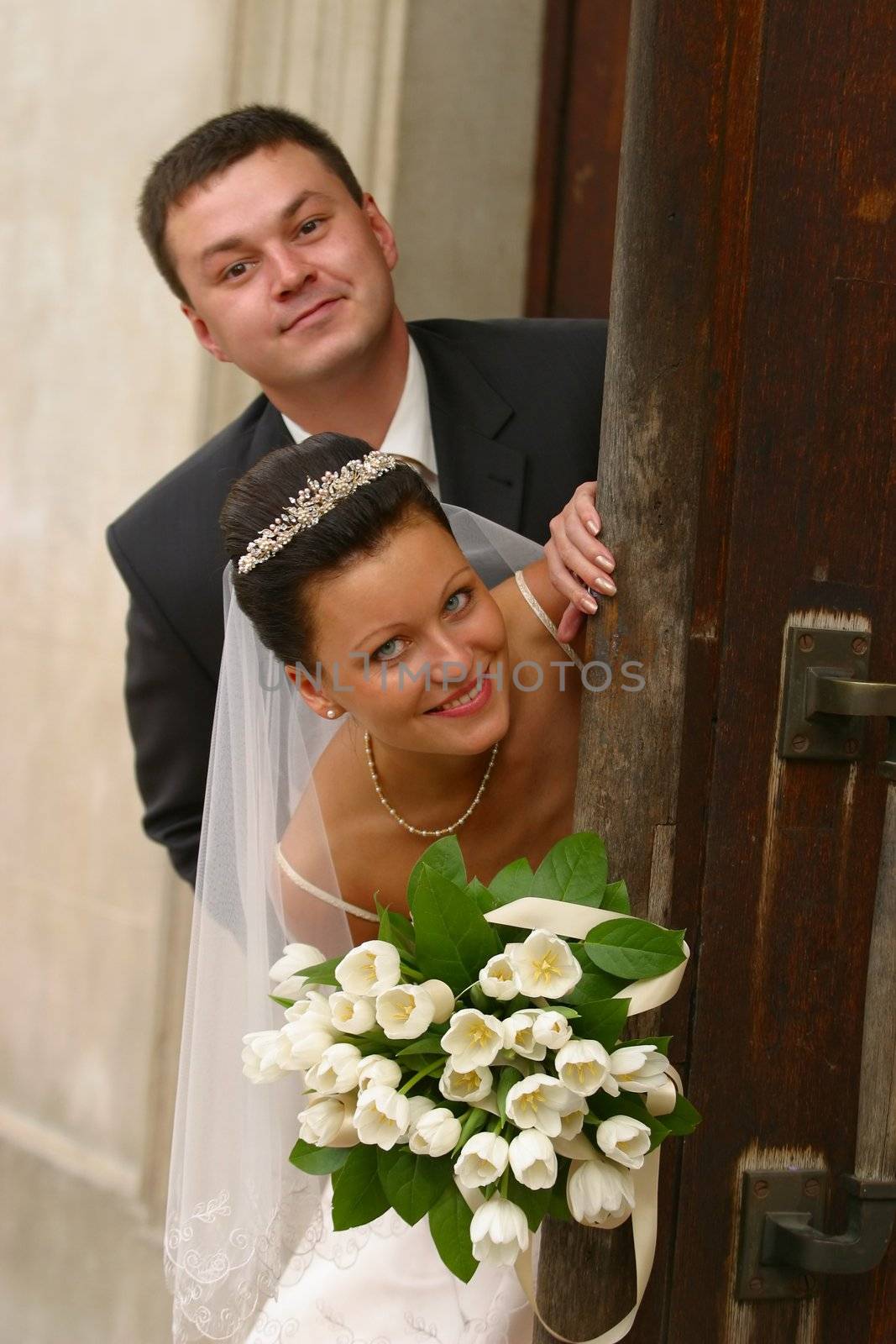 Beautiful newly married pair on a background of a wooden door
