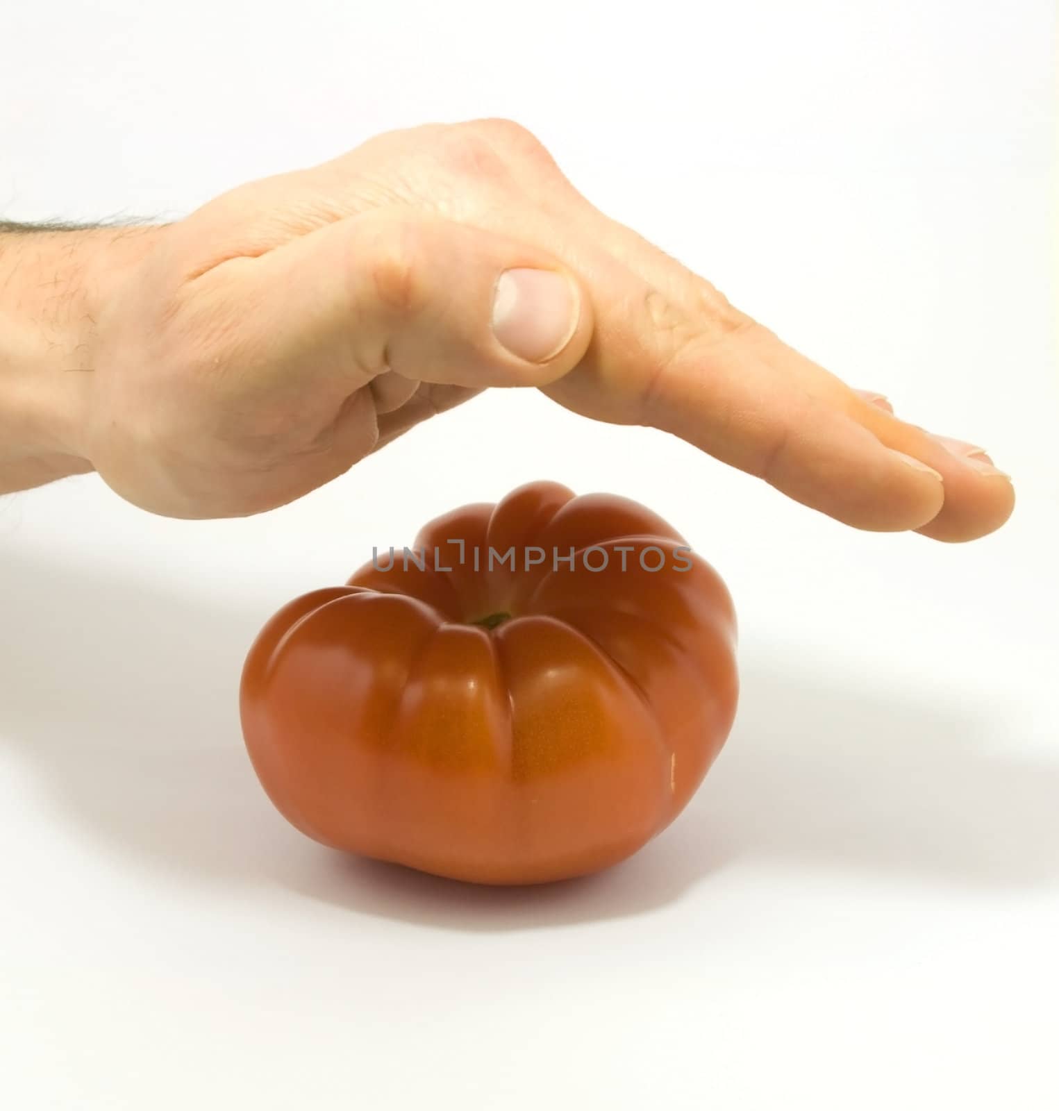 Human hand and tomato isolated on white