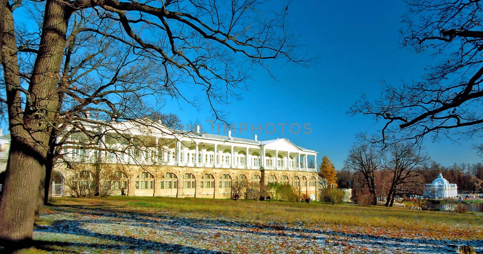 View of the park and classical buildings  by mulden