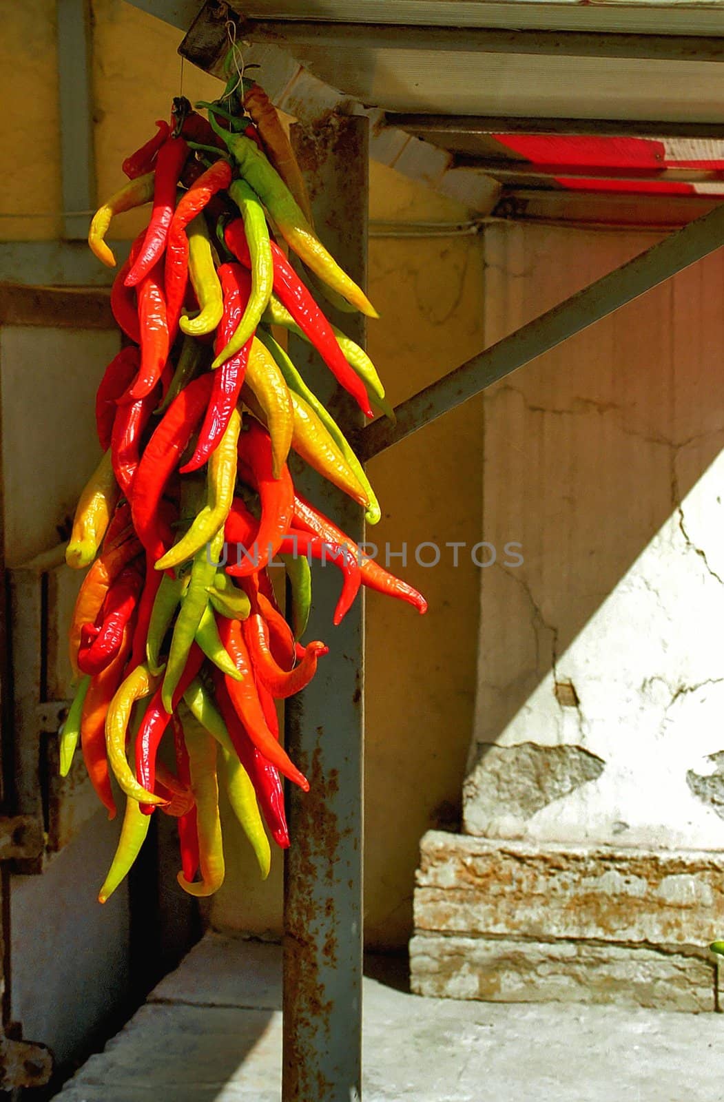 Bunch of red, yellow and green chili peppers 