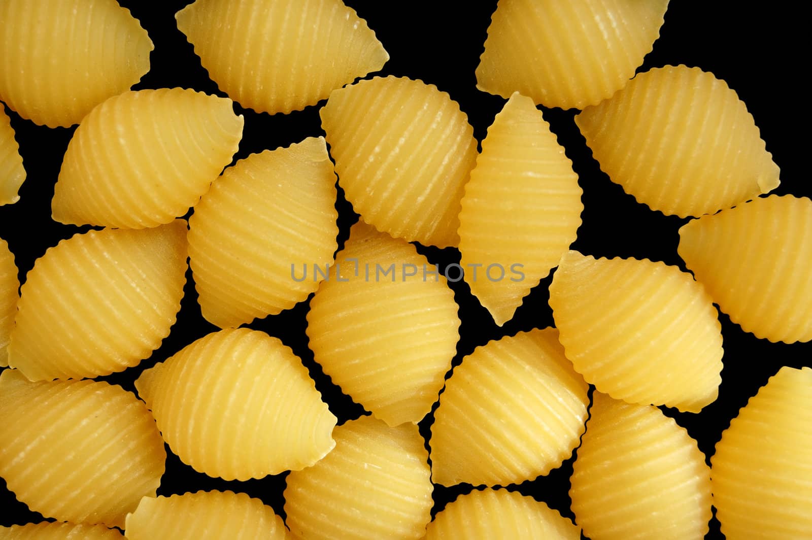 Shells pasta background. Italian food texture detail.