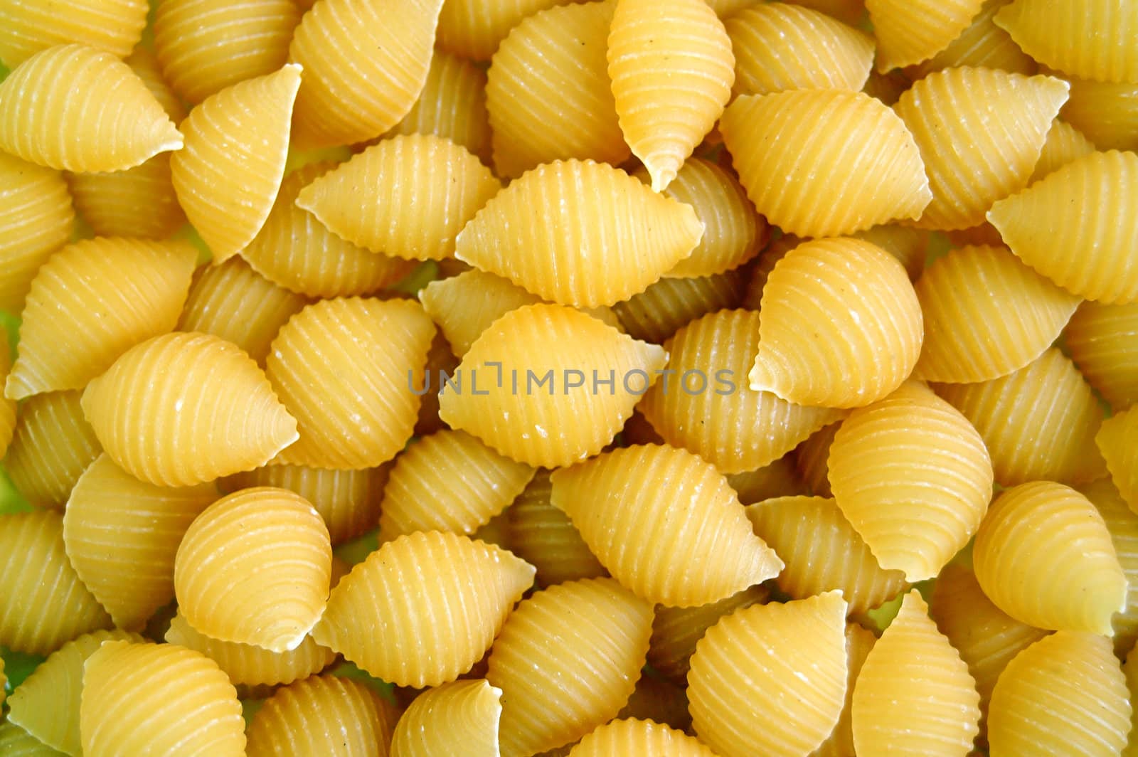 Shells pasta background. Italian food texture detail.