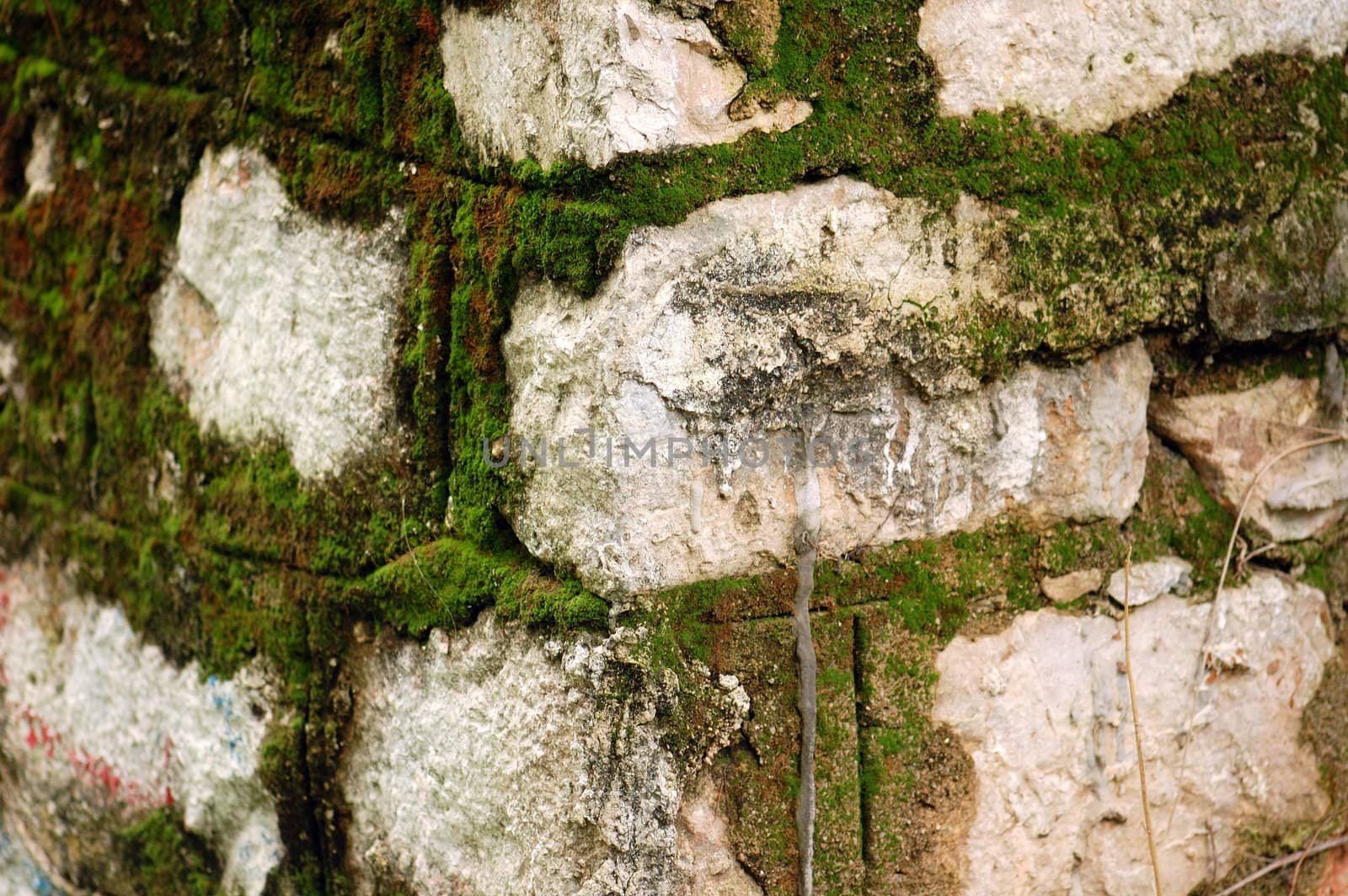 Stone wall texture and moss fungus detail. Abstract background.
