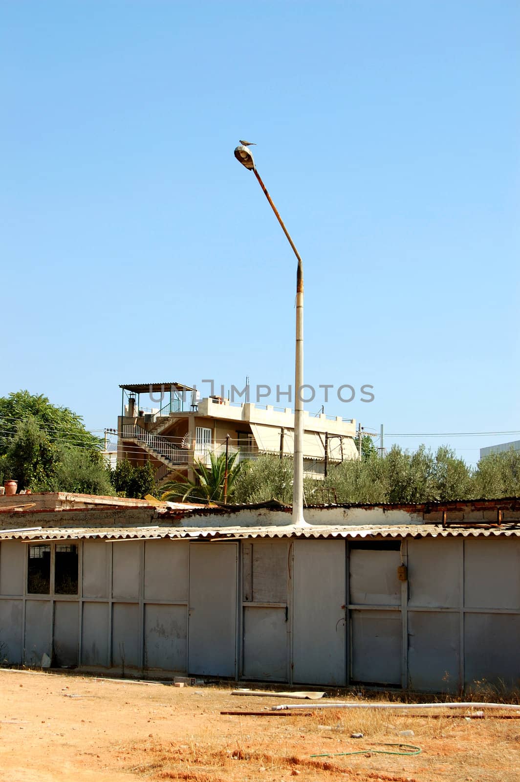 Street light emerging through an old abandoned warehouse.