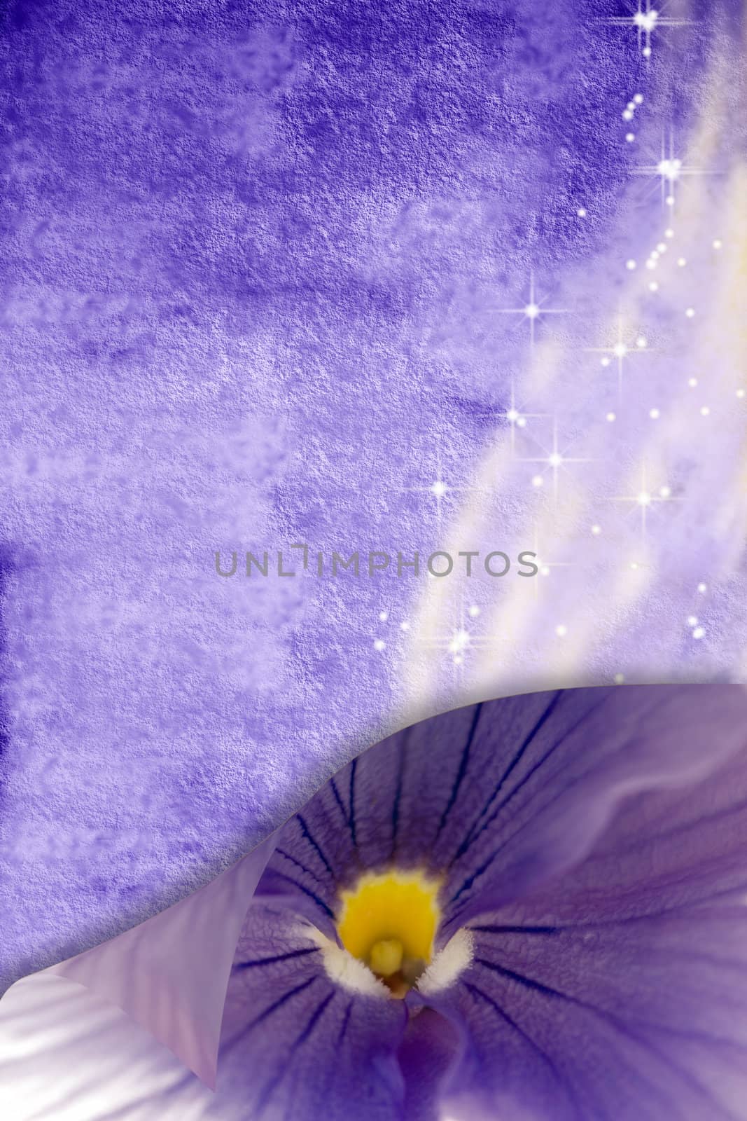Romantic background stars and flowers  by Carche