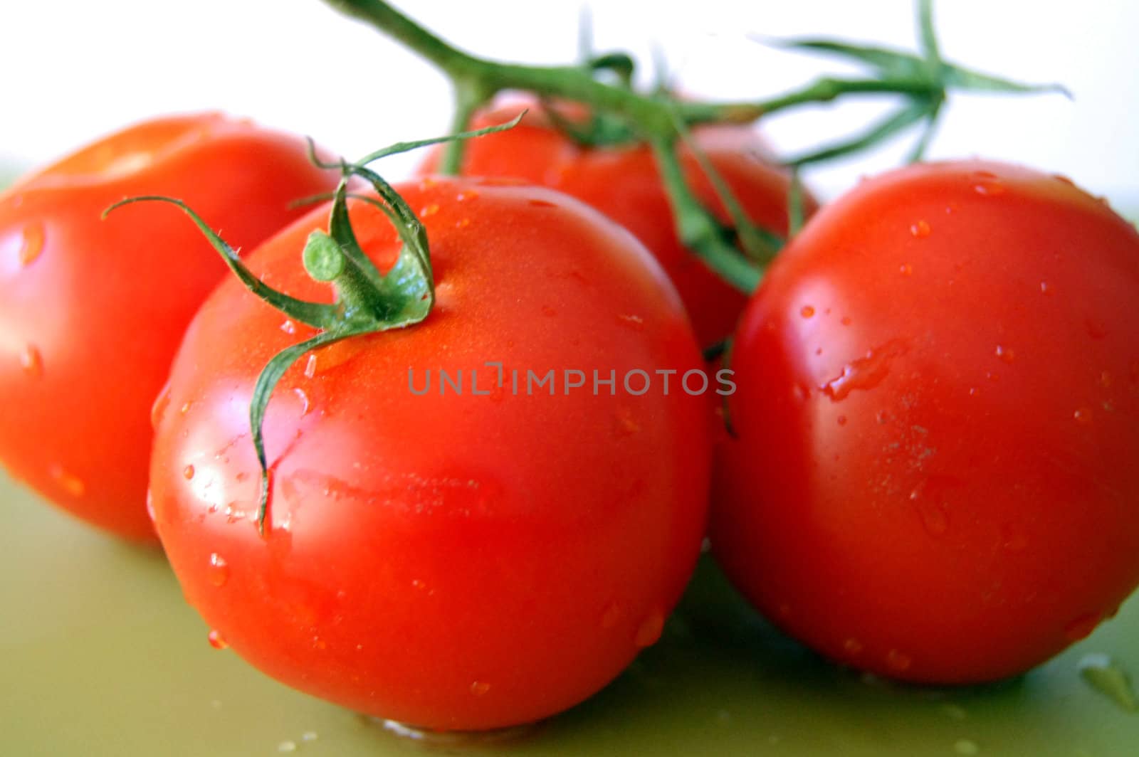 fresh tomatoes with green leaf