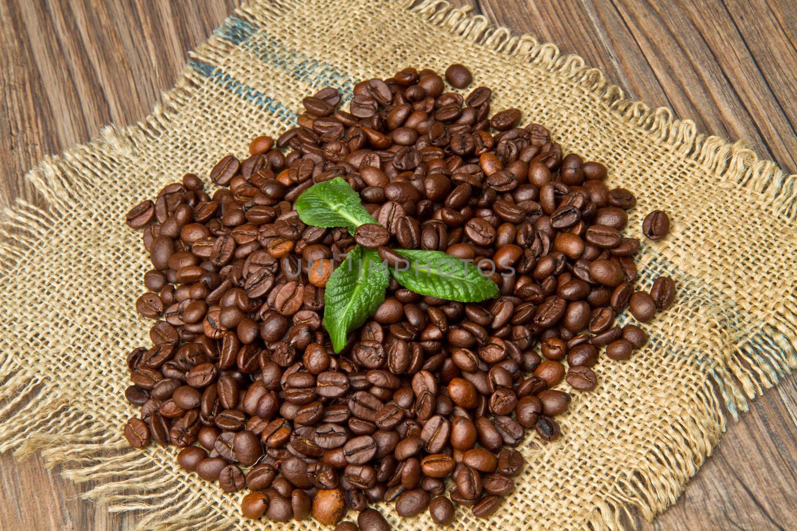 Studio Shot of Coffee Beans 