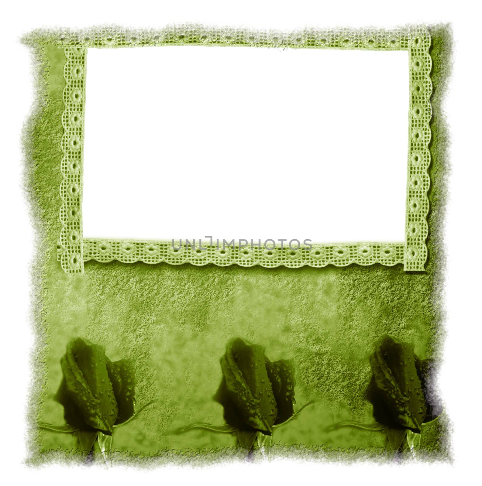 old frame floral background blank  by Carche