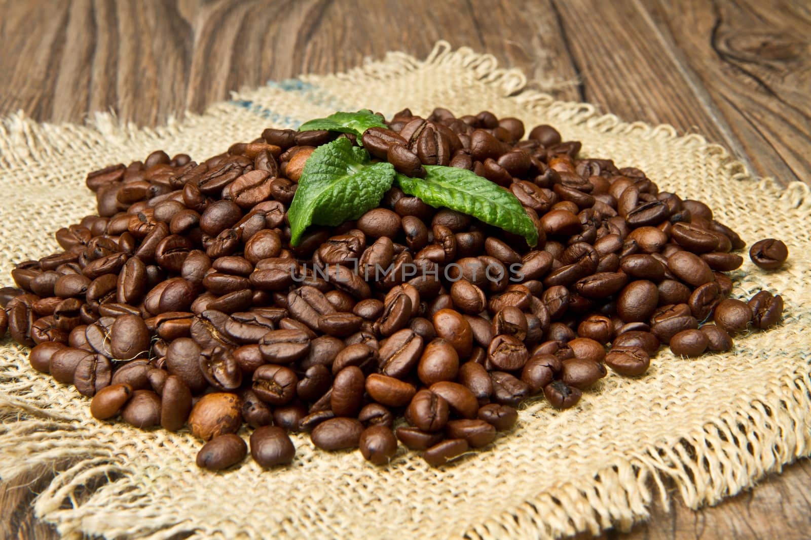 Studio Shot of Coffee Beans 