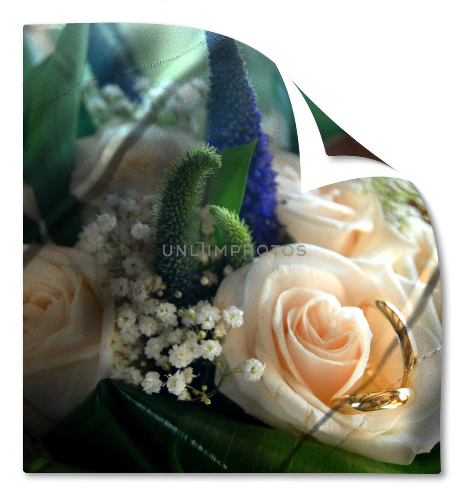 card wedding bouquet and rings isolated 