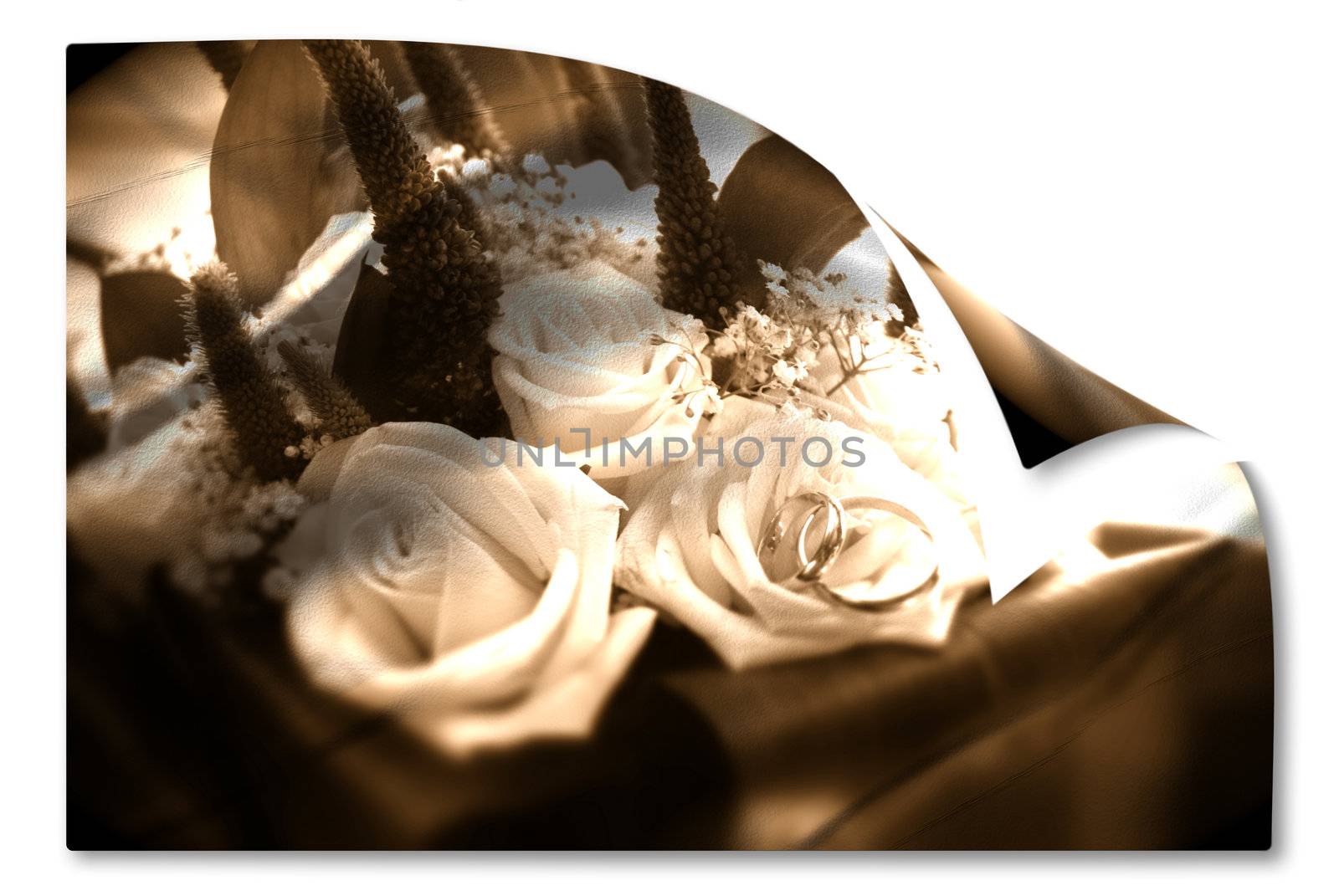 bridal bouquet and partnerships in sepia isolated on white background 