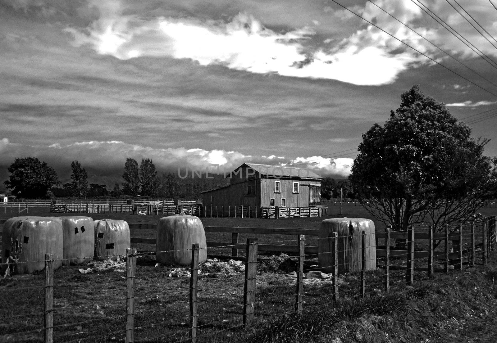 a country landscape converted from color to monochrome