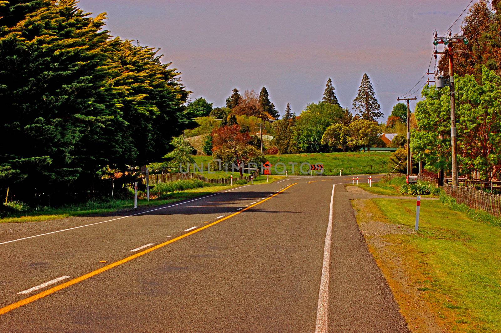 a road through rural New Zealand