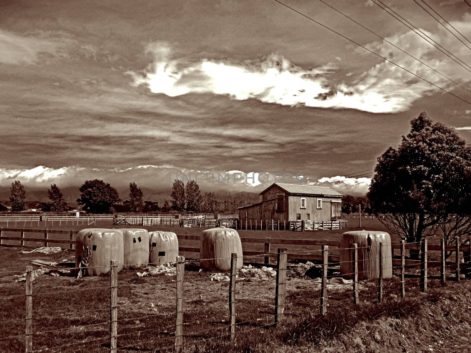 a New Zealand country scene converted to monochrome them split-toned for clarity
