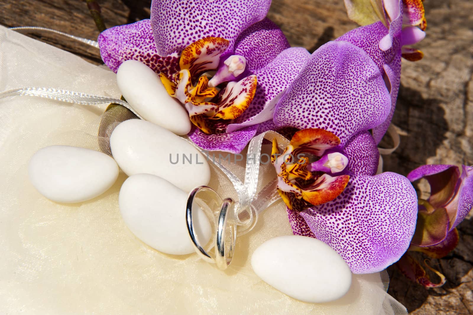 orchid,wedding rings and candy  for weddings 